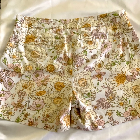 Shorts BUNDLE - Picture 7 of 7